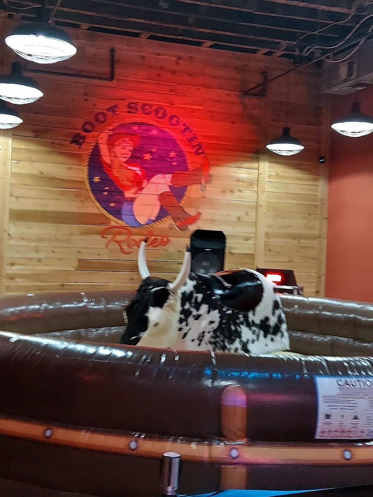 Boot Scootin Rodeo photo 3